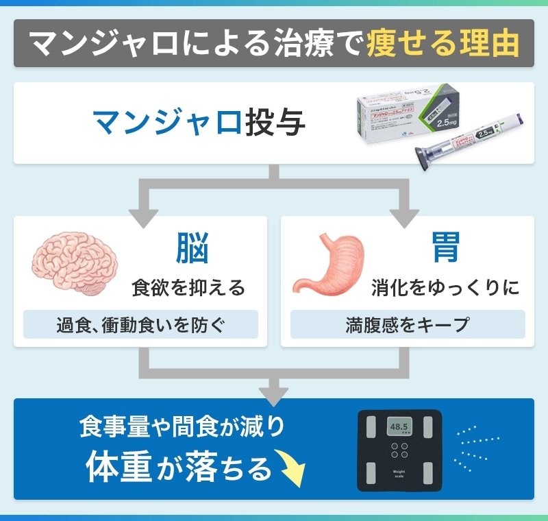 マンジャロ 痩せる理由