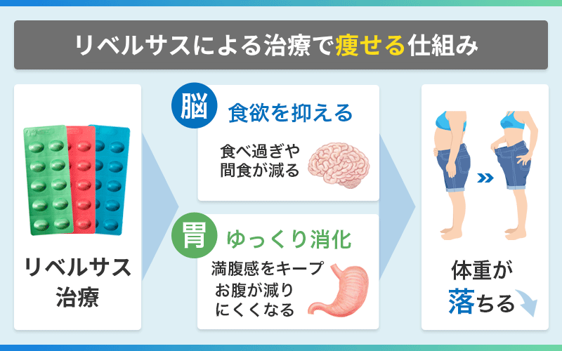リベルサス 痩せる 仕組み