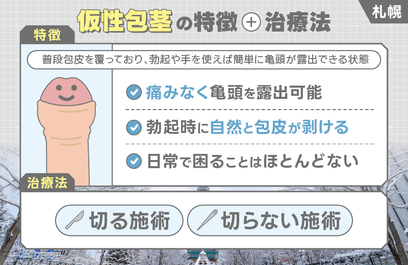 札幌 包茎手術 仮性包茎