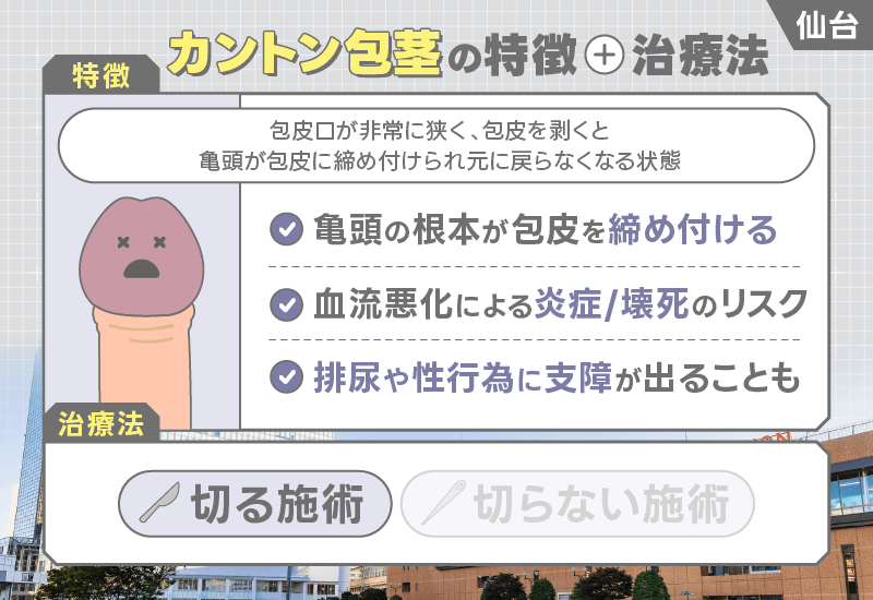 仙台 包茎 カントン包茎