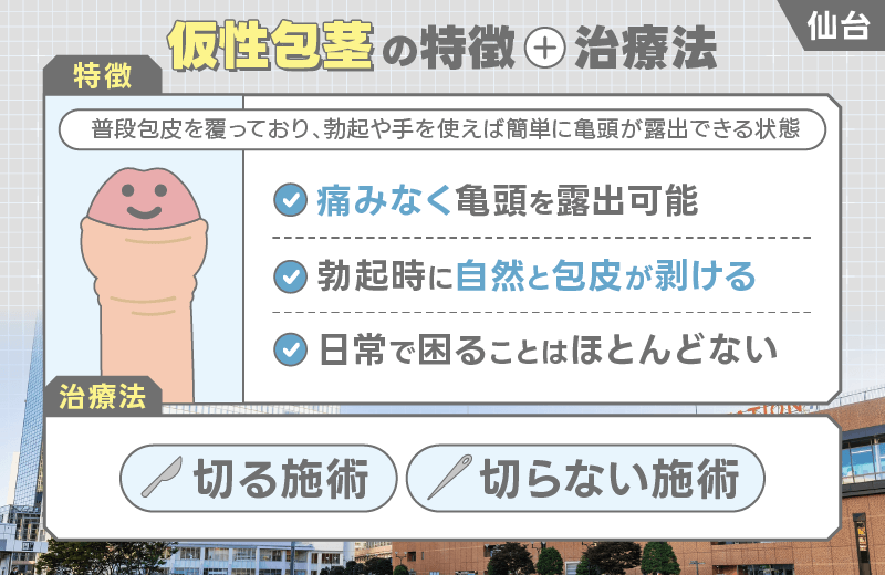 仙台 包茎 仮性包茎