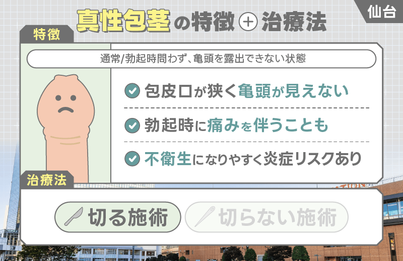 仙台 包茎 真性包茎